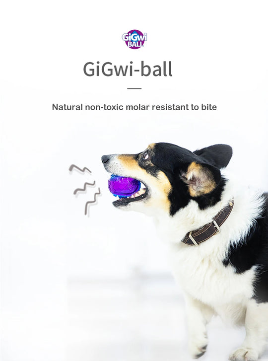 Pet Dog Squeaky Toys Ball Puppy Chew Toys Sound Pure Natural Non-toxic Rubber