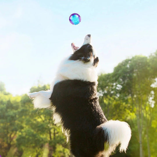 Pet Dog Squeaky Toys Ball Puppy Chew Toys Sound Pure Natural Non-toxic Rubber