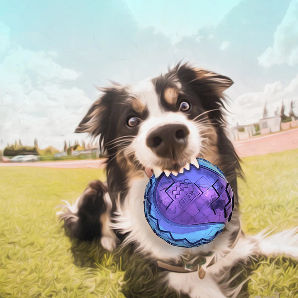Pet Dog Squeaky Toys Ball Puppy Chew Toys Sound Pure Natural Non-toxic Rubber