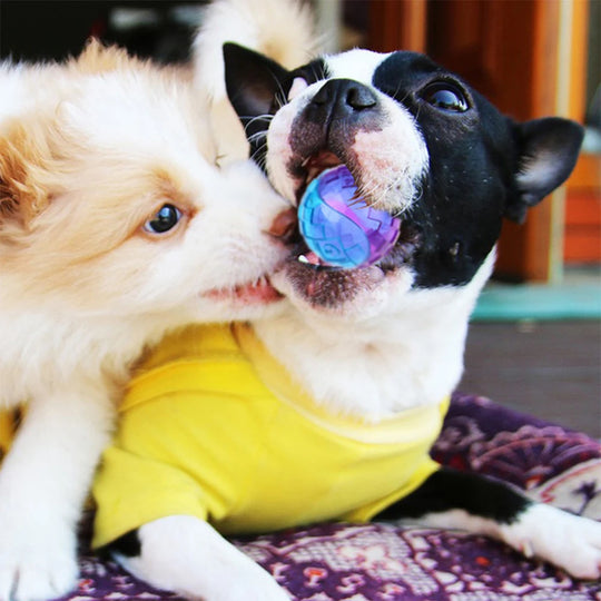 Pet Dog Squeaky Toys Ball Puppy Chew Toys Sound Pure Natural Non-toxic Rubber