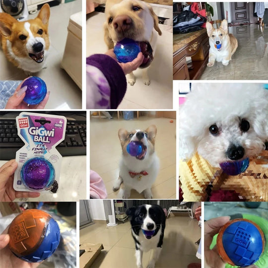 Pet Dog Squeaky Toys Ball Puppy Chew Toys Sound Pure Natural Non-toxic Rubber