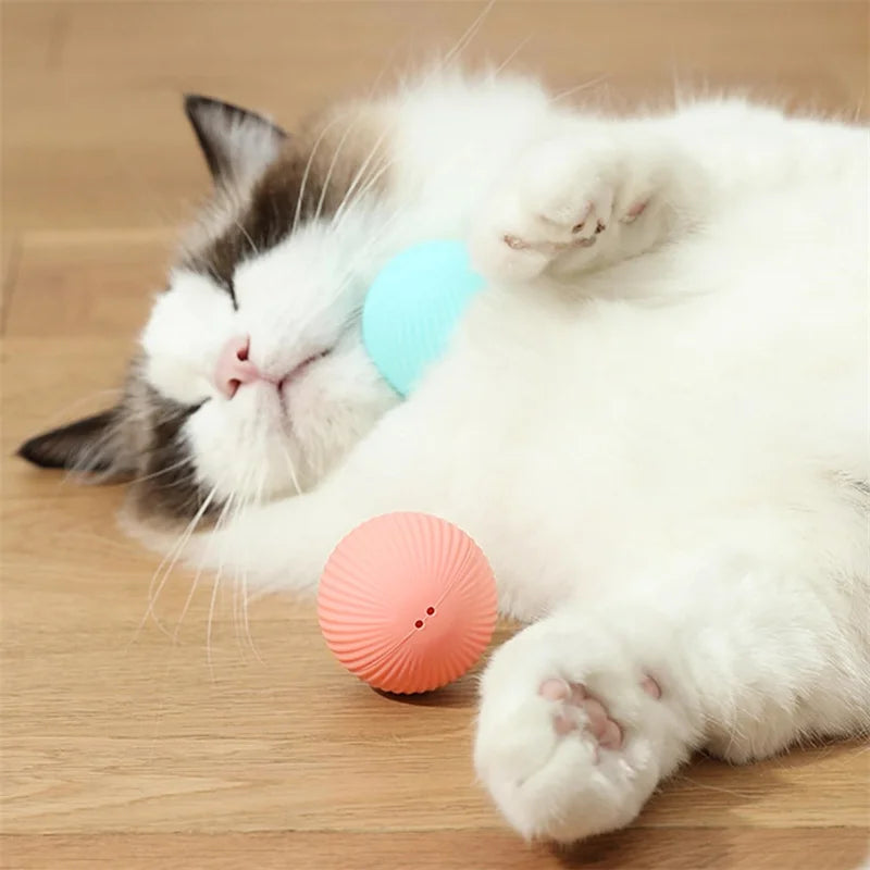 Electronic Interactive Pet Toy Moving Ball USB Automatic Moving Bouncing for Puppy