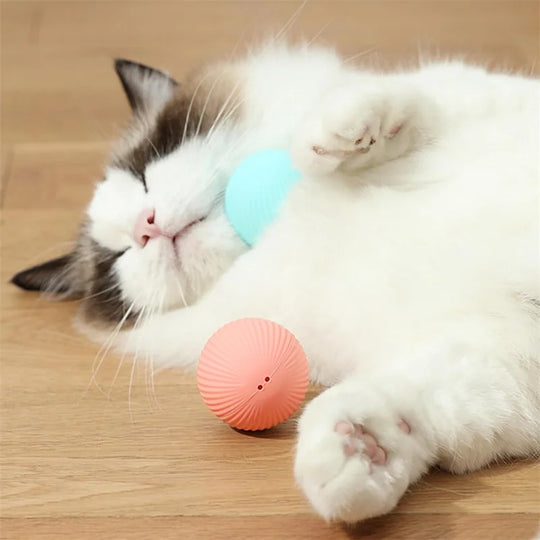 Electronic Interactive Pet Toy Moving Ball USB Automatic Moving Bouncing for Puppy