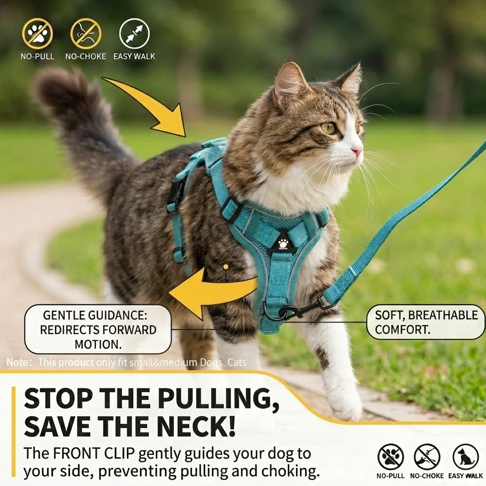 Breathable Cat Harness Leash for Small Medium Dogs Cats