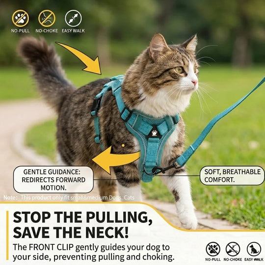 Breathable Cat Harness Leash for Small Medium Dogs Cats