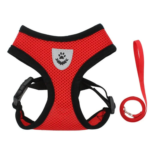 Cat Leash and Harness Cat Tent Kitten Harness Strap for Cats