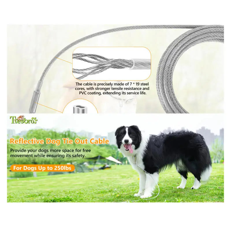 Double-headed Dog Tie Out Cable Leash ,raction rope with metal buckle steel wire