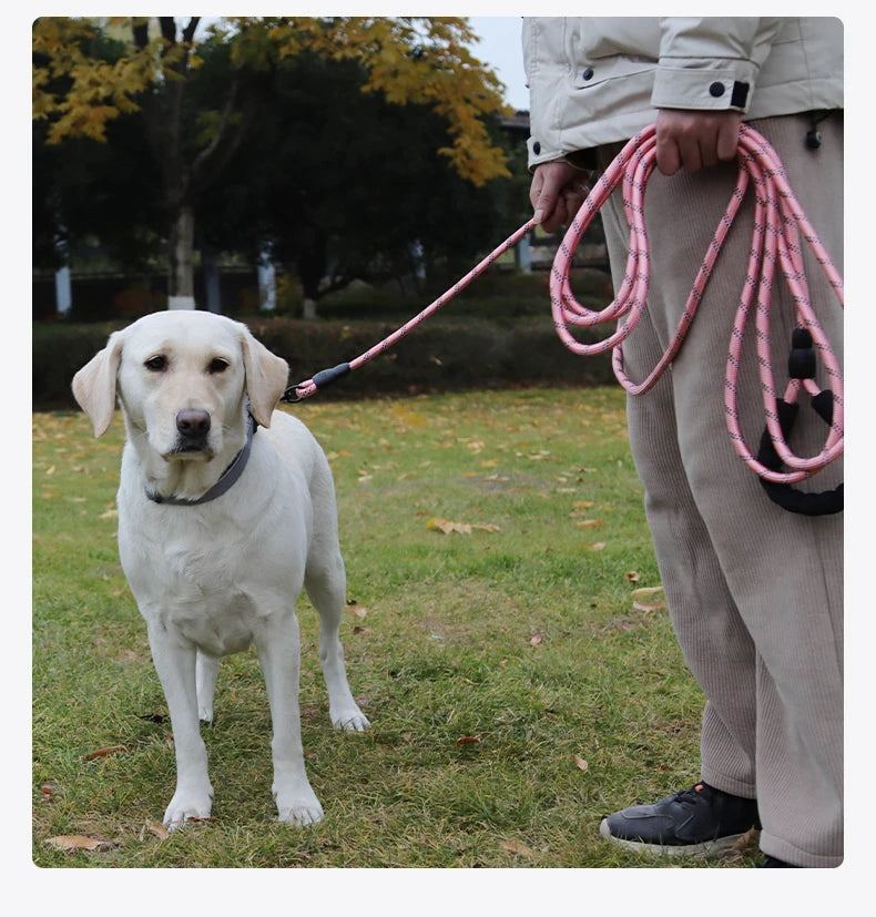 Long Dogs Training Leash for Walking Heavy Duty Nylon Leash for Agility Training