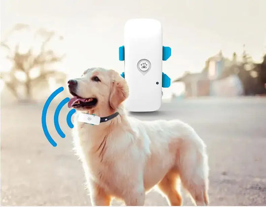4G Pet GPS Tracker Realtime Tracking Dog Cat Animal Finder