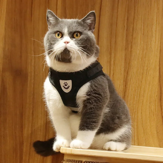 Cat Harness Lead Leash Set Adjustable Reflective Escape Proof Pet