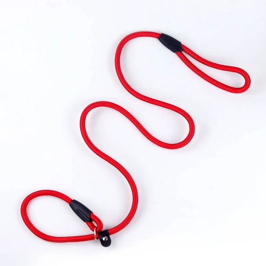 Dog Training Leash P Leash, Durable Nylon Material Heavy Duty