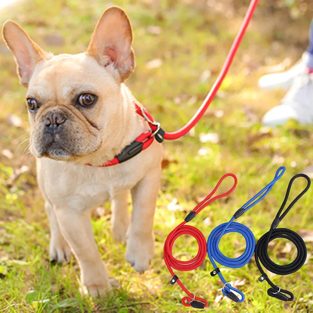 Dog Training Leash P Leash, Durable Nylon Material Heavy Duty