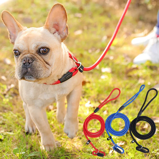 Dog Training Leash P Leash, Durable Nylon Material Heavy Duty