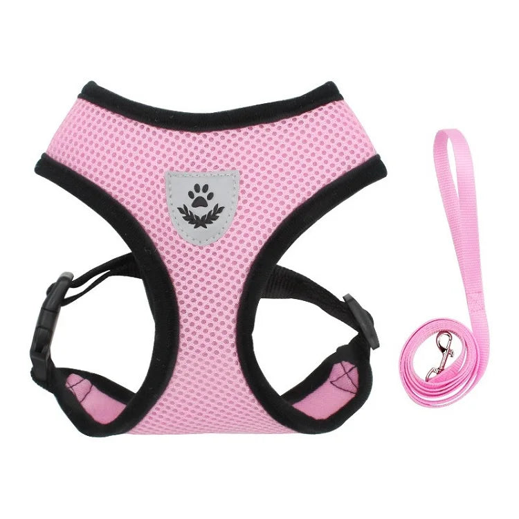 Cat Leash and Harness Cat Tent Kitten Harness Strap for Cats