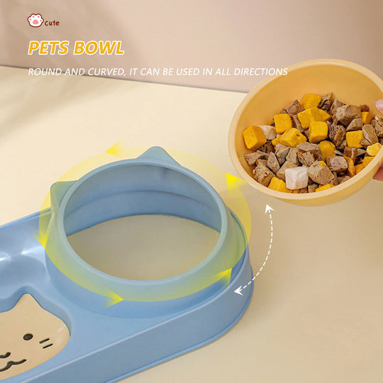 Food Bowl With Water Fountain Double Bowl Drinking Raised Stand Dish Bowls For Pets