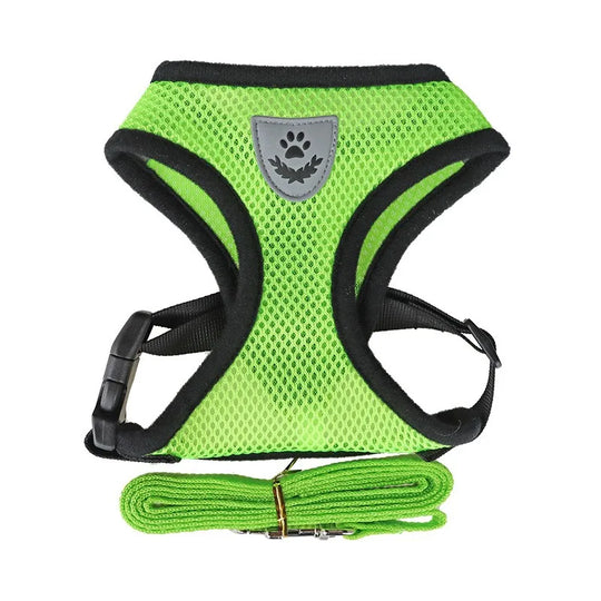 Cat Leash and Harness Cat Tent Kitten Harness Strap for Cats