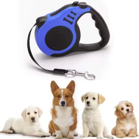 Automatic Retractable Dog Leash for Small Dogs And Cats
