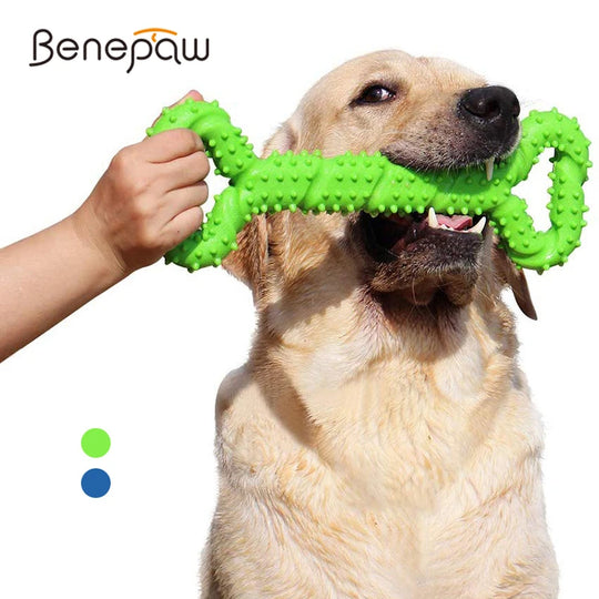 Pet Toys, Dog Toys, Durable Chew Sticks, Bones, Golden Retriever