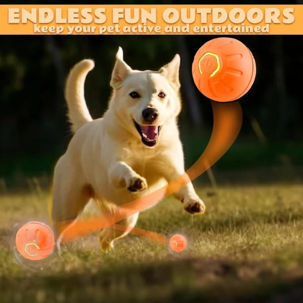 Pet toys Gravity Electric Amusement Pet Ball