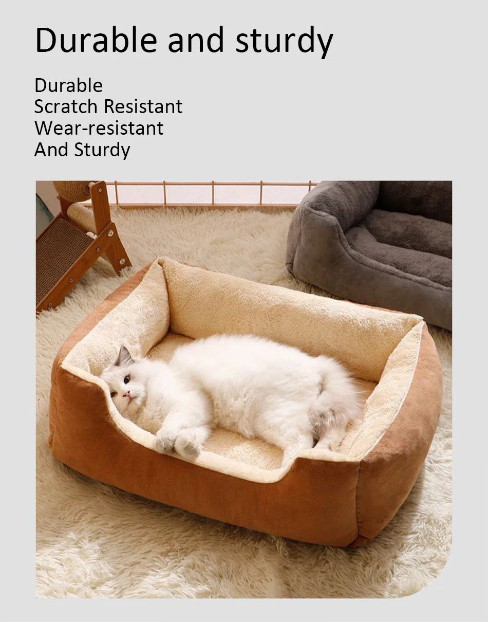 Bed for Cats Pet Products Cushions Kitten Goods Accessories D