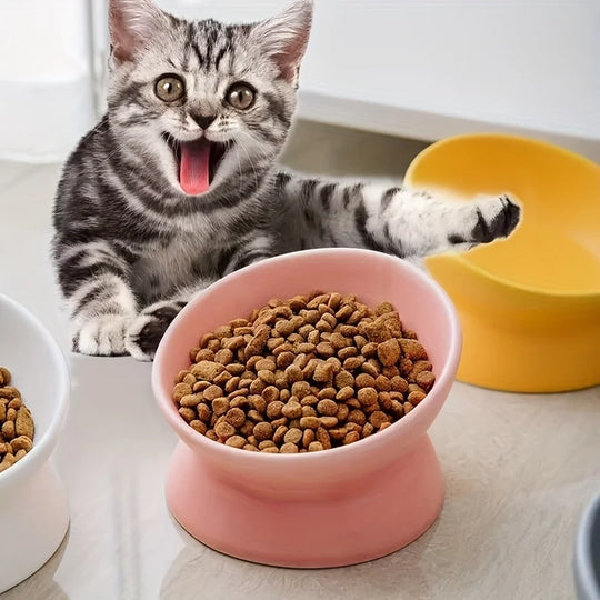 Ceramic Raised Cat Bowl Set - Stress-Free Elevated Pet Feeding Tray