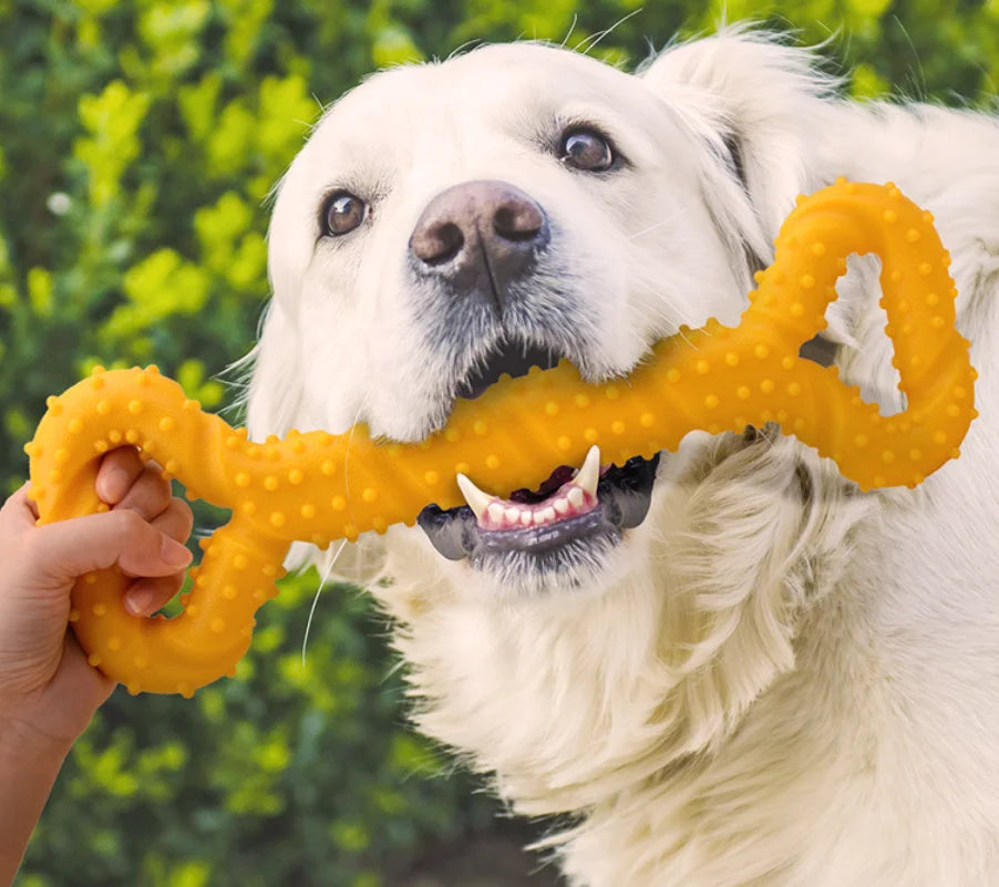 Pet Toys, Dog Toys, Durable Chew Sticks, Bones, Golden Retriever