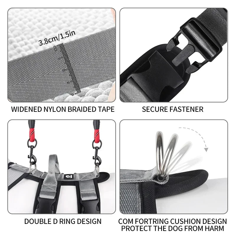 Adjustable Anti-Breakaway Dog Harness for Outdoor Activities – Secure Control for Medium & Large Dogs
