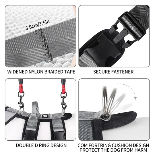 Adjustable Anti-Breakaway Dog Harness for Outdoor Activities – Secure Control for Medium & Large Dogs
