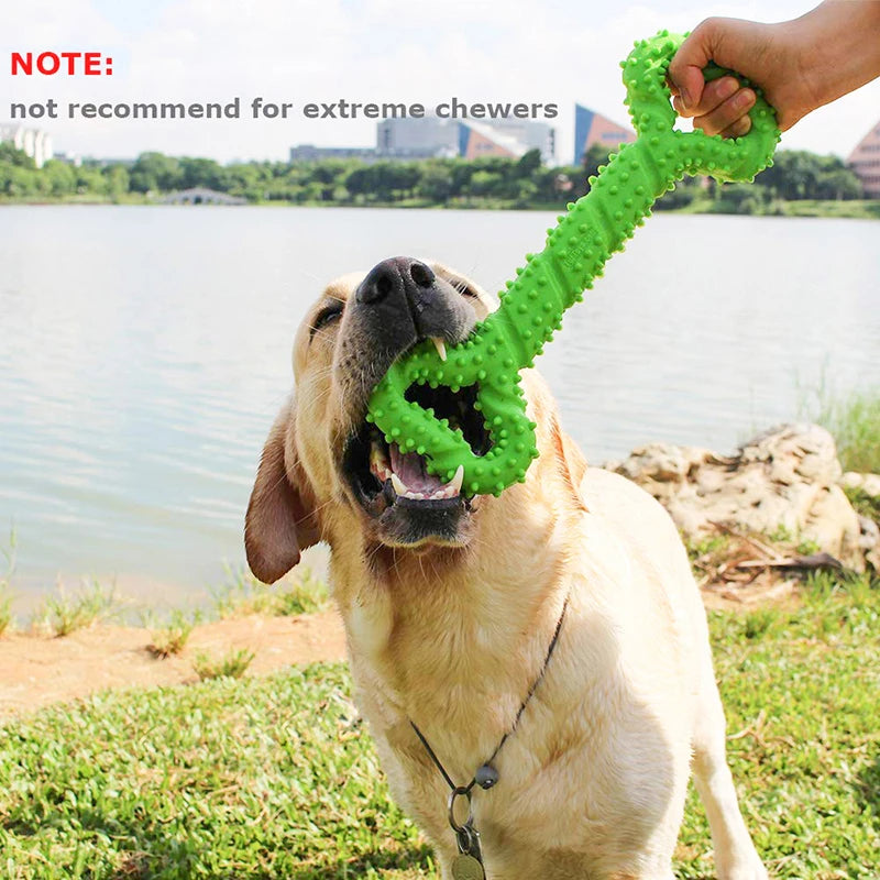 Pet Toys, Dog Toys, Durable Chew Sticks, Bones, Golden Retriever