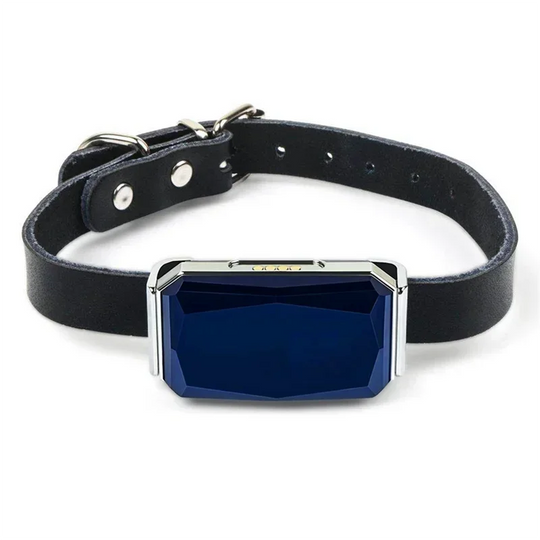 GPS Pet Tracker IP67 Waterproof Pet Locator for Dog Cat Pet