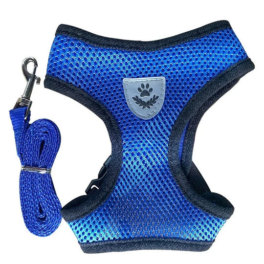 Cat Leash and Harness Cat Tent Kitten Harness Strap for Cats