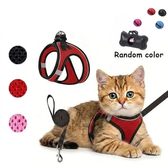 2pcs Universal harness and leash set for cats and dogs. Harness. Leash. Cat and dog puppy collars. Chest harness.