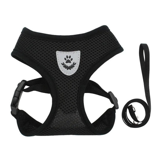 Cat Leash and Harness Cat Tent Kitten Harness Strap for Cats