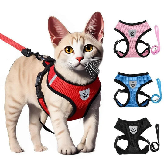 Cat Leash and Harness Cat Tent Kitten Harness Strap for Cats
