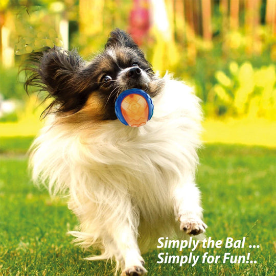 Pet Dog Squeaky Toys Ball Puppy Chew Toys Sound Pure Natural Non-toxic Rubber