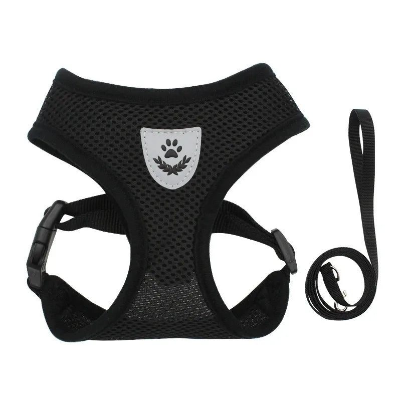 Cat Leash and Harness Cat Tent Kitten Harness Strap for Cats