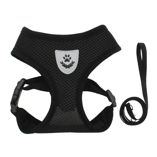 Cat Leash and Harness Cat Tent Kitten Harness Strap for Cats