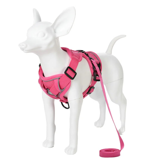 Breathable Cat Harness Leash for Small Medium Dogs Cats