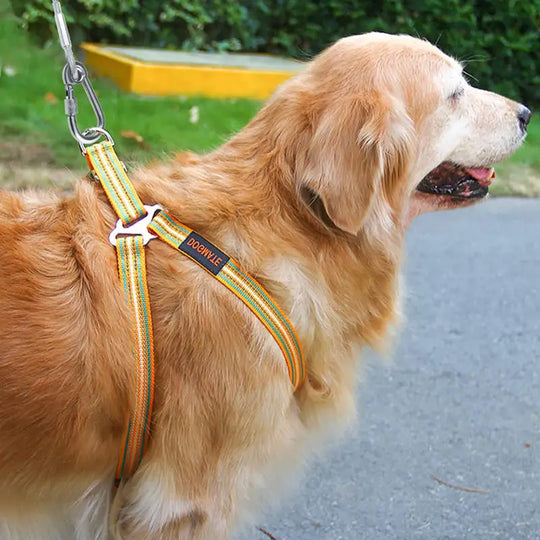 Double-headed Dog Tie Out Cable Leash ,raction rope with metal buckle steel wire