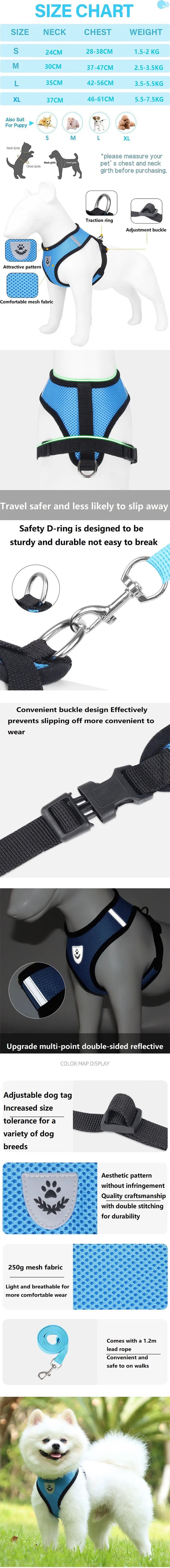 Cat Leash and Harness Cat Tent Kitten Harness Strap for Cats
