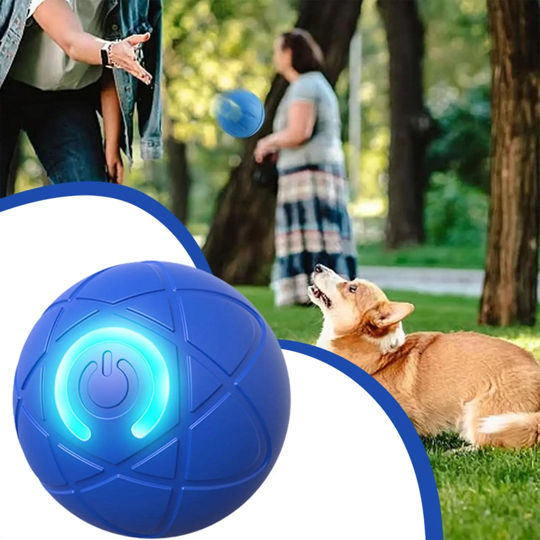 Pet Toy Ball Electric Interactive Game Gravity Sensor Smart Jumping Rolling Ball Automatic Moving Puppy Cat Entertainment Toys