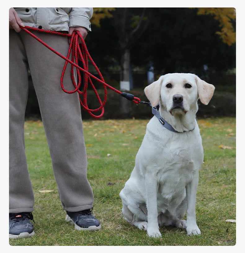 Long Dogs Training Leash for Walking Heavy Duty Nylon Leash for Agility Training