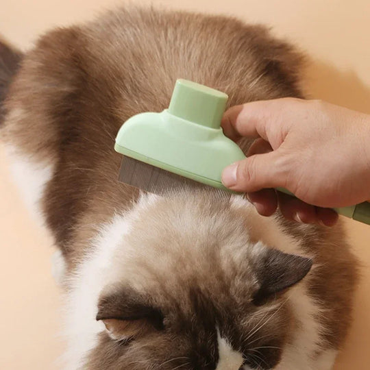 Pet Cat Comb Cat and Dog Hair Removal Brush Cleaning Hair