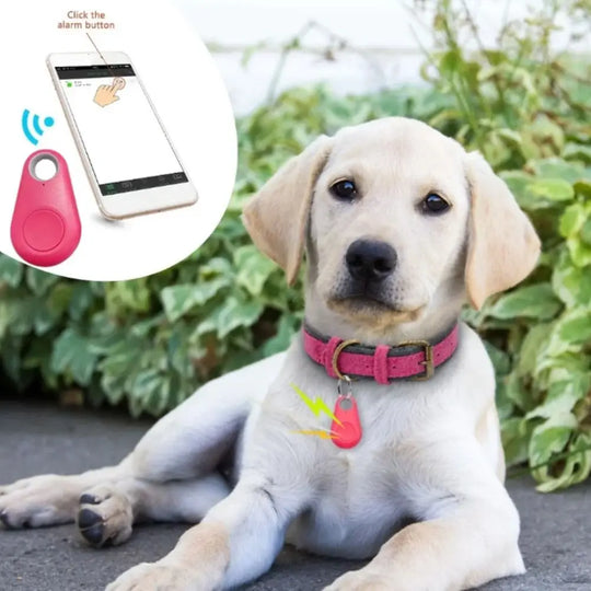 Portable Pet Bluetooth GPS Tracker Plastic Bluetooth