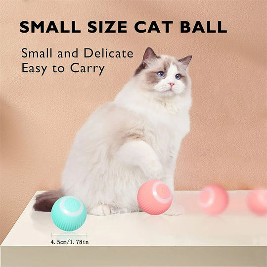 Electronic Interactive Pet Toy Moving Ball USB Automatic Moving Bouncing for Puppy