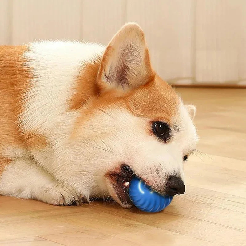 Electronic Interactive Pet Toy Moving Ball USB Automatic Moving Bouncing for Puppy