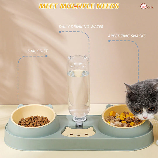 Food Bowl With Water Fountain Double Bowl Drinking Raised Stand Dish Bowls For Pets