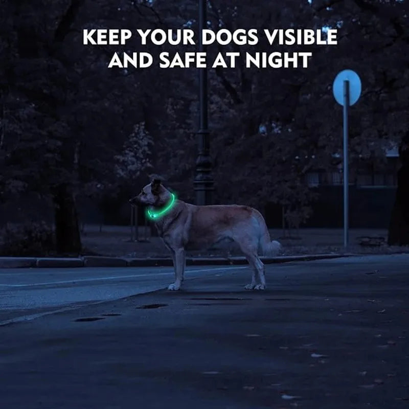 B Pet Dog LED Collar - Dog Loss Prevention Collar