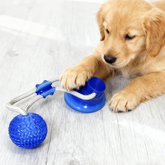 Ball Toys Molar Bite Toy Elastic Ropes Dog Tooth Cleaning Chewing