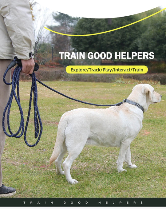 Long Dogs Training Leash for Walking Heavy Duty Nylon Leash for Agility Training